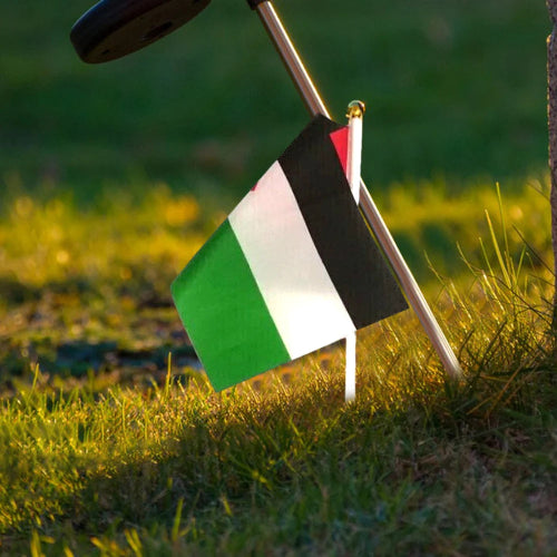 palestine handheld flag small size for home and indoor display