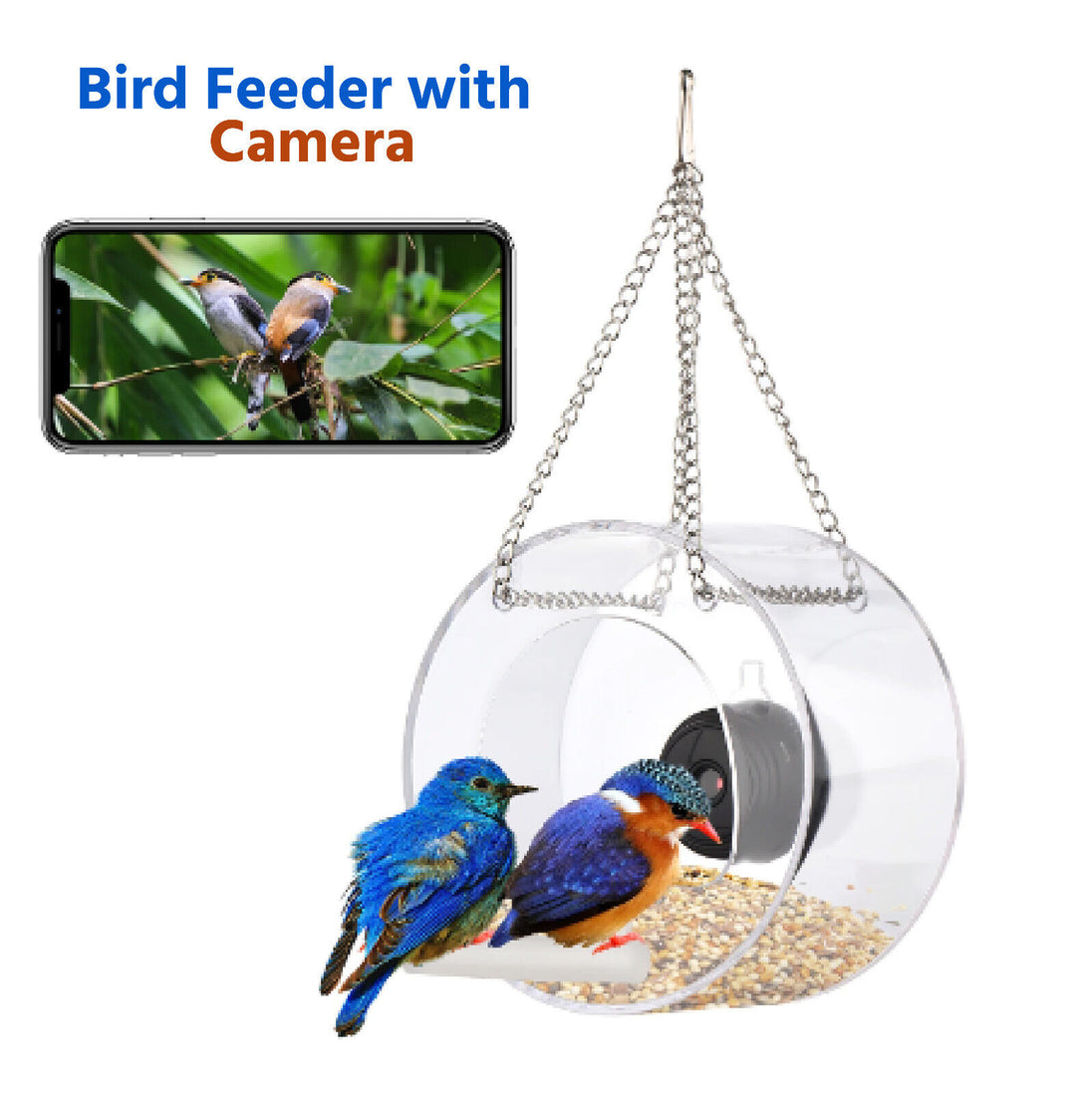 Bird Feeder with Camera Clear Window Outside Birdhouse for Close Up View - Chys Thijarah