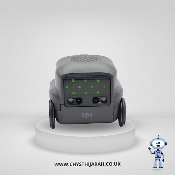RC Boxer / Really RAD  MiBro Remote Controlled Talking Spy Robot fun toy - Chys Thijarah