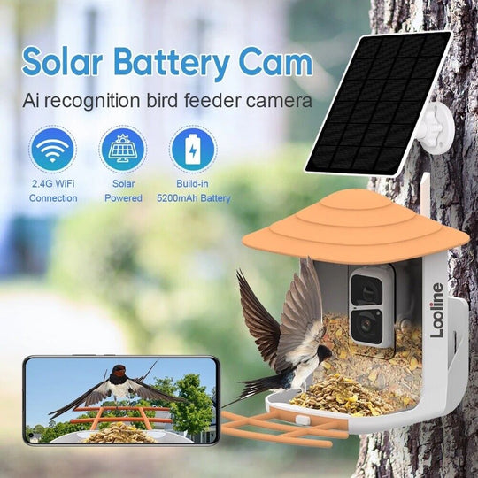 Bird Feeder with Auto AI bird recognition Camera Clear Window Outside Birdhouse - Chys Thijarah