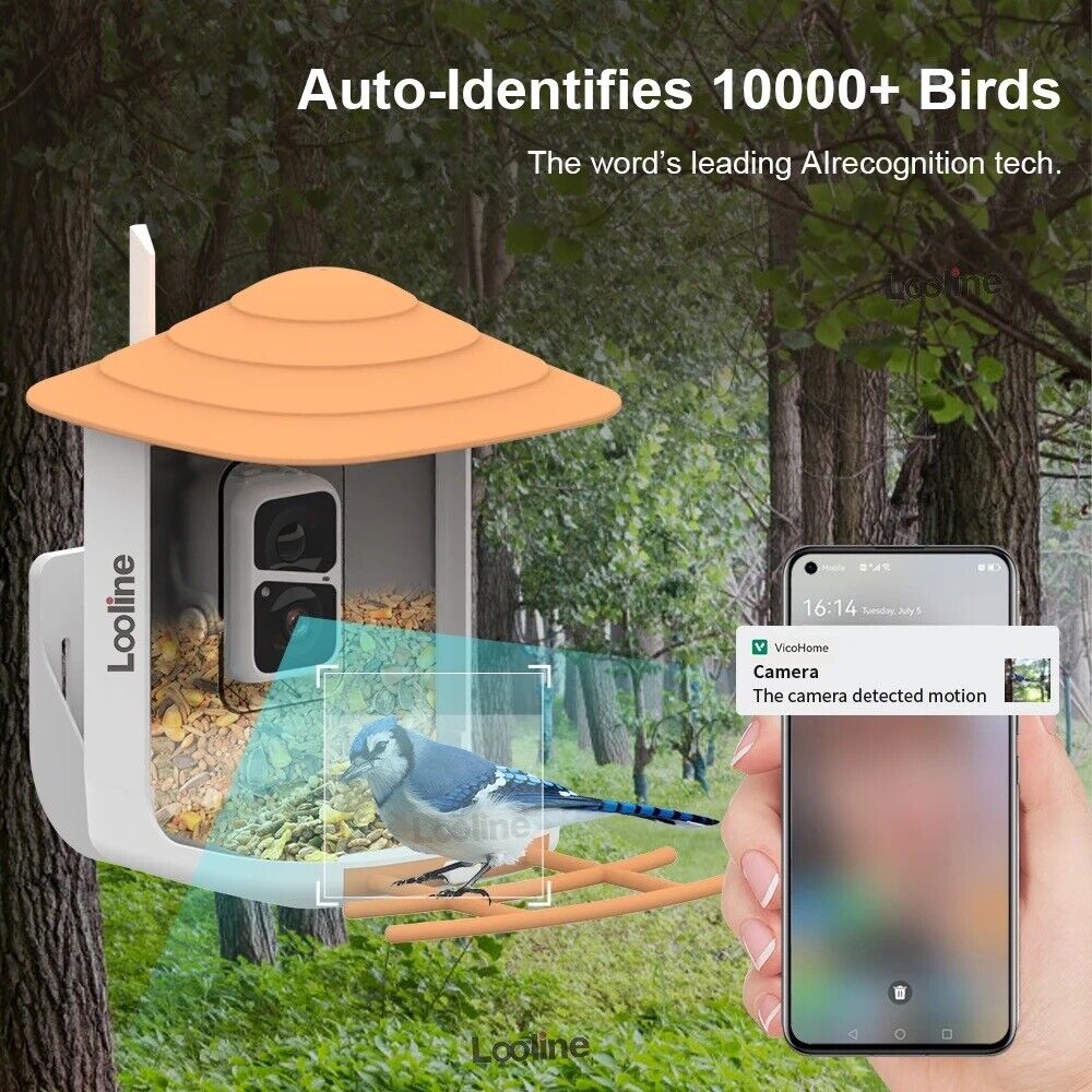 Bird Feeder with Auto AI bird recognition Camera Clear Window Outside Birdhouse - Chys Thijarah