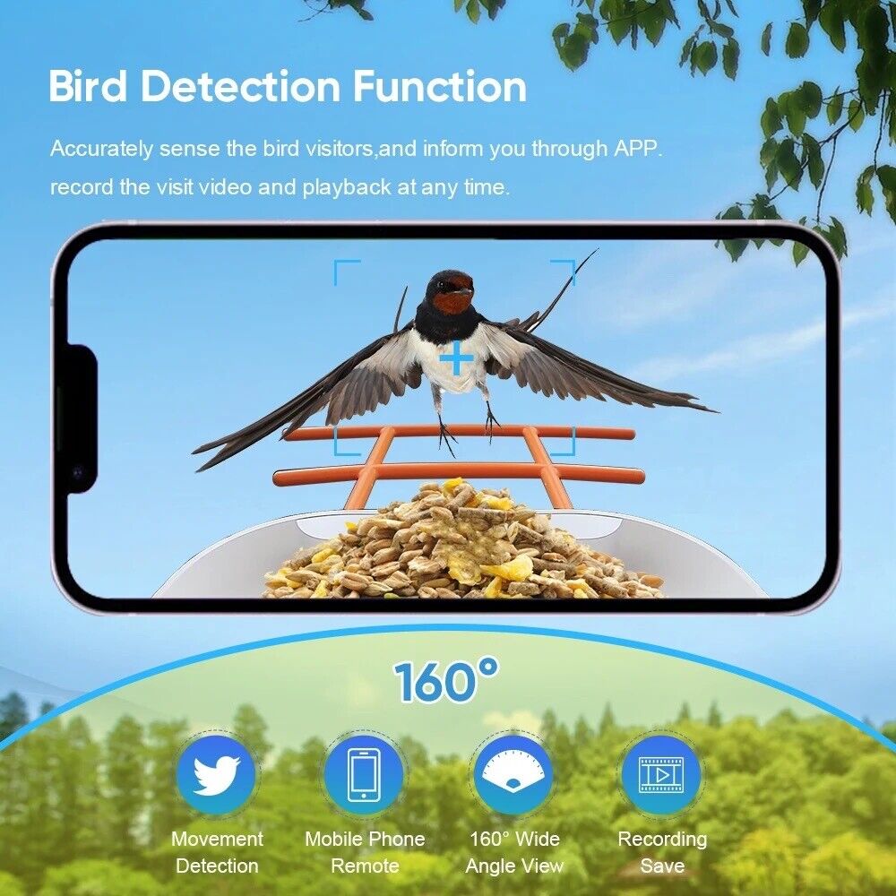Bird Feeder with Auto AI bird recognition Camera Clear Window Outside Birdhouse - Chys Thijarah