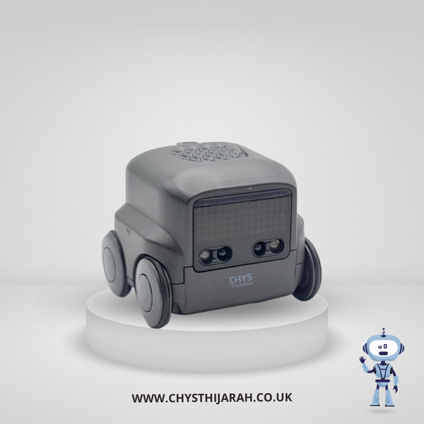 Boxer Interactive Rc Robot toy boys girls kids gift fun toy - Chys Thijarah