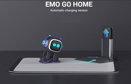 Emo go home charger box picture