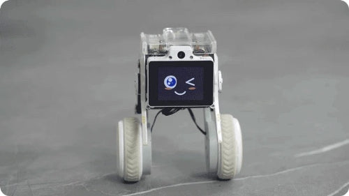 XGO Rider robot programmable desktop AI robot for coding