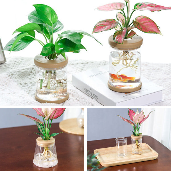 Mini Hydroponic Flower Pot Home Vase Decor Plastic poy - Chys Thijarah