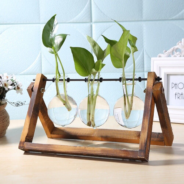 Glass Vase Wood FrAME  Flower Vase Tabletop Hydroponics Plant Flower Pot - Chys Thijarah