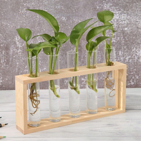 Glass Vase Wood FrAME  Flower Vase Tabletop Hydroponics Plant Flower Pot - Chys Thijarah