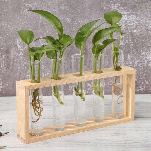 Glass Vase Wood FrAME  Flower Vase Tabletop Hydroponics Plant Flower Pot - Chys Thijarah