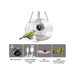 Bird Feeder Camera Clear Window Outside Birdhouse for Close Up View - Chys Thijarah